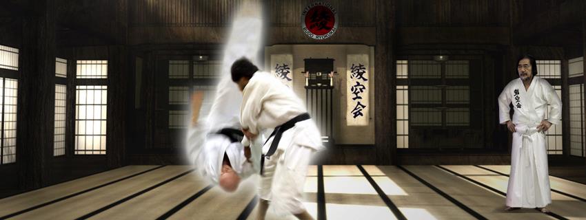 About Aikido