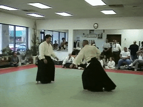 Budo Technique 22